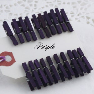 May include: A collection of small, purple wooden clothespins with silver metal springs. The word "Purple" is written in cursive on a white tag. The clothespins are arranged in rows, suggesting a craft or decorative item.