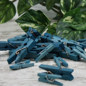 May include: A pile of teal-colored wooden clothespins with silver-colored metal springs. The clothespins are scattered on a light-colored, weathered wooden surface, with green leafy foliage in the background.