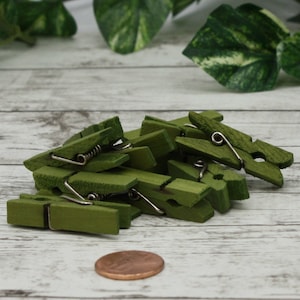 May include: A pile of small, olive green wooden clothespins with silver-colored metal springs. The clothespins are scattered on a light-colored, wood-grain surface. A copper-colored coin is in the foreground.