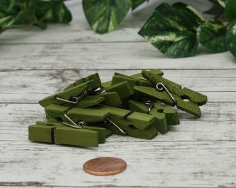 Moss Green Clothespins Mini Clothespins  Choice of Size