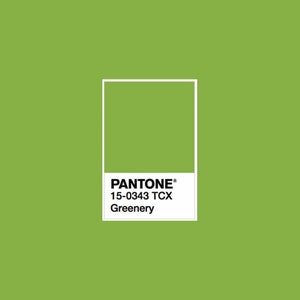 Leaf Green Velvet Ribbon 1/8 wide BY THE YARD Pantone Greenery image 2