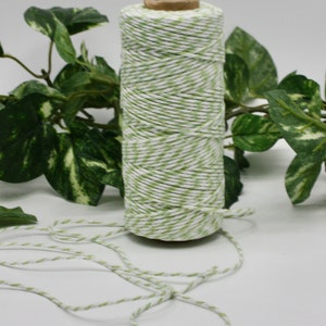 Light Green/White Baker's Twine 10 yards