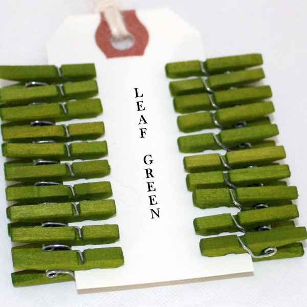 Leaf Green Clothespins, Pantone Tender Shoots, Tag Clips, Photo Clips, Wish Tree Clips, Photo Props, Wedding