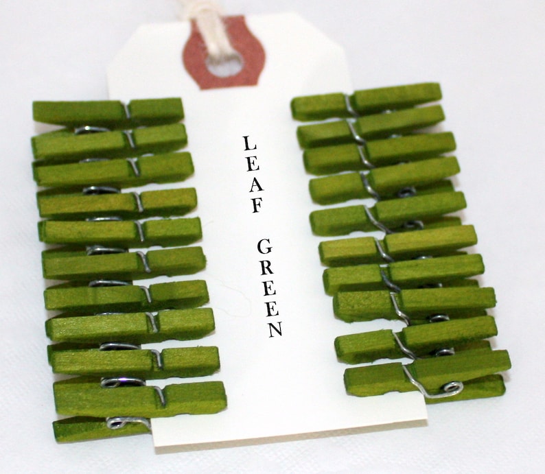 Leaf Green Clothespins, Pantone Tender Shoots, Tag Clips, Photo Clips, Wish Tree Clips, Photo Props, Wedding image 1