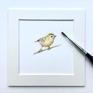 Goudhaantje vogel kleine tekening - originele 2 x 2 cm kleine vogelkunst tekening aquarel met passe-partout 10 x 10 cm - handgetekende kunst hahnemule papier