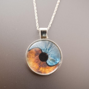 Op de afbeelding: Een zilveren ketting met een ronde hanger met een blauw en bruin oogontwerp.
