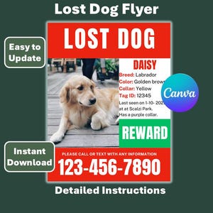 Lost Dog Flyer Template – Printable and Editable  Missing Pet Poster PDF – Instant Download