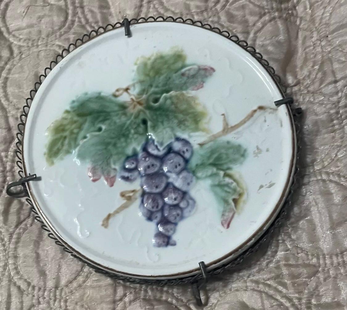 Les dessous de la Vitis Vinifera Les dessous de la Vitis Vinifera
