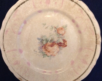 Antique Plate Rose D.E. McNicol Clarksburg W VA 825