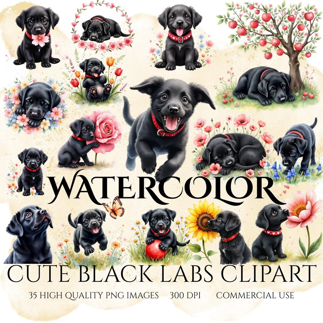 Watercolor Black Lab Puppy Clipart: PNG Bundle for Nursery Art (digital ...