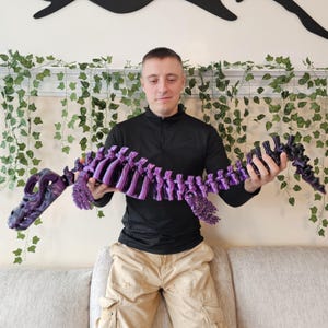 May include: A purple and black 3D-printed dinosaur skeleton. The model is held up by a person. The dinosaur skeleton is a detailed replica, with visible ribs and a long neck and tail. The color scheme is a gradient of purple and black.