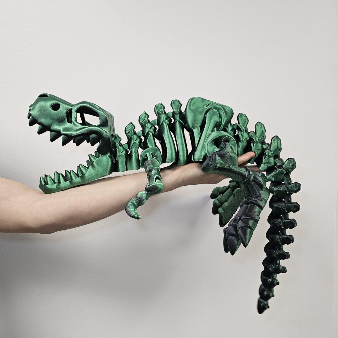 Giant T-rex 30 Inches Skeleton 3D Printed - Etsy
