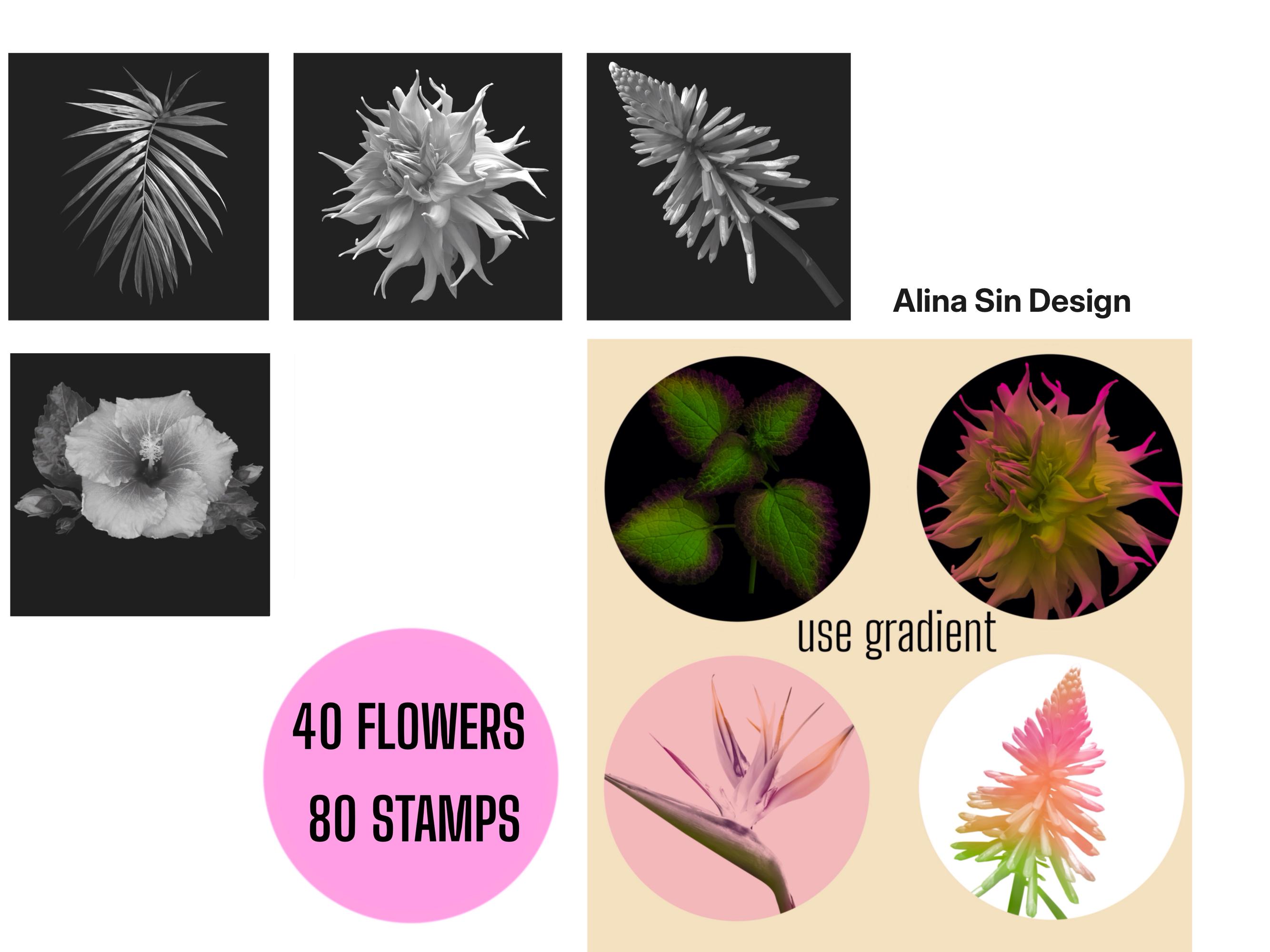 Procreate Brushes Realism Flowers Botanical Tattoo Brush Set - Etsy