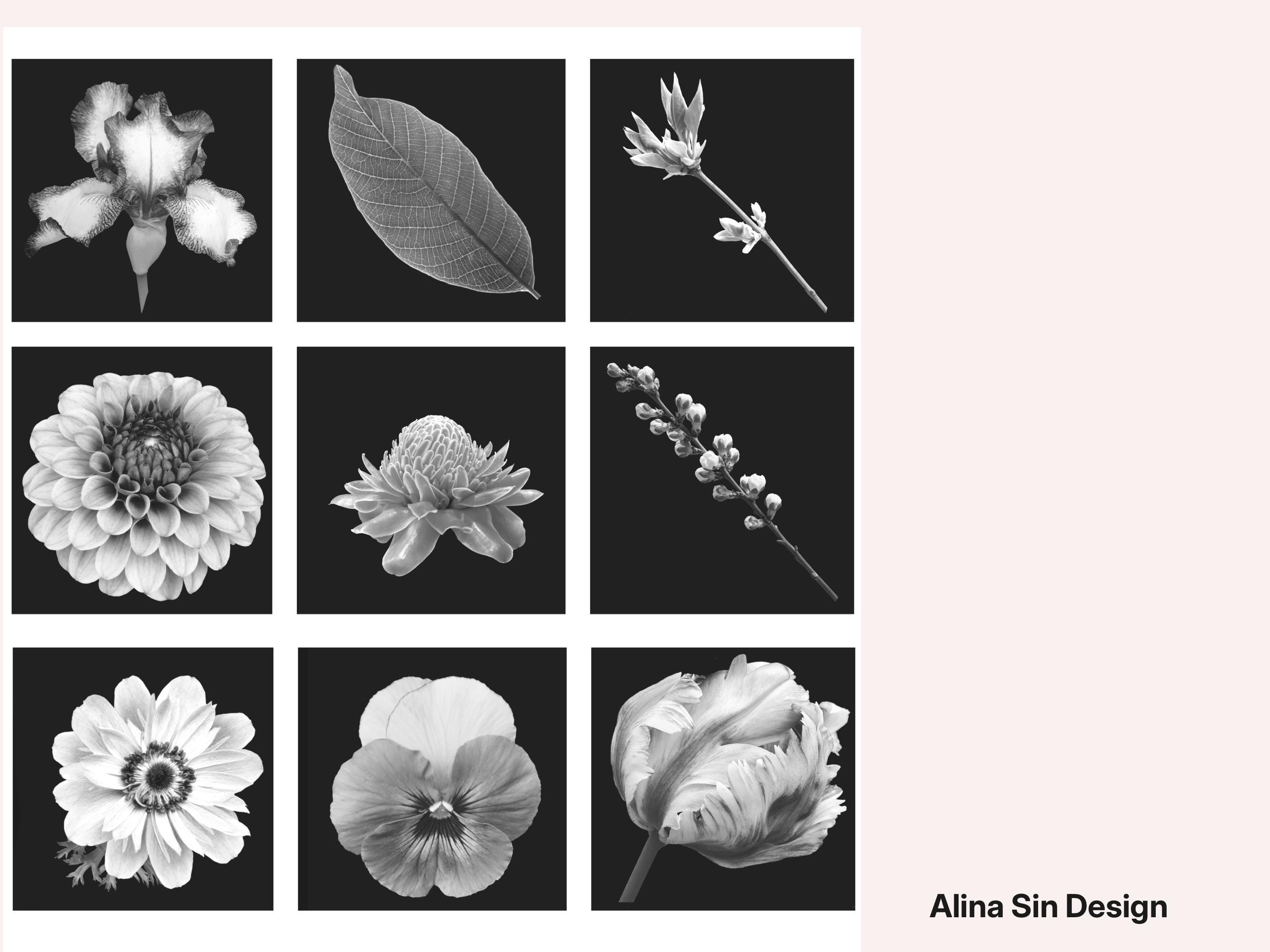 Procreate Brushes Realism Flowers Botanical Tattoo Brush Set - Etsy
