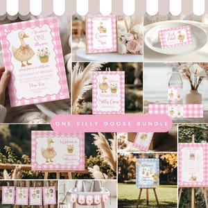 One Silly Goose First Birthday Bundle, Floral Goose Invite First Birthday Bundle, Pink Girl 1st Birthday Boho Goose Theme Decor