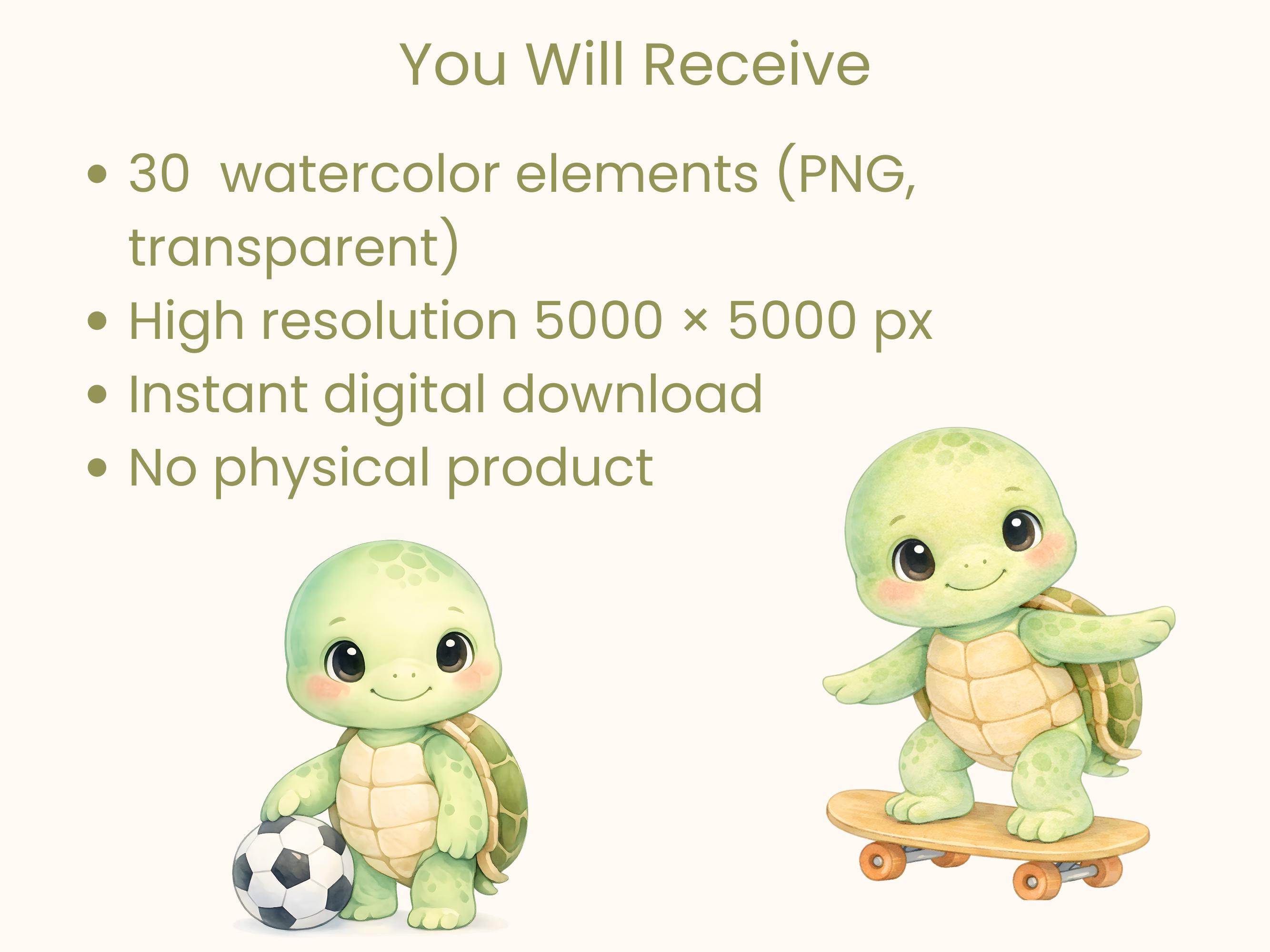 Turtle Clipart Bundle, Digital Download, 300 DPI PNG (commercial Use ...