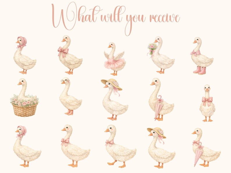 Watercolor Girly Goose Clipart, Pink Silly Goose PNG (commercial Use ...
