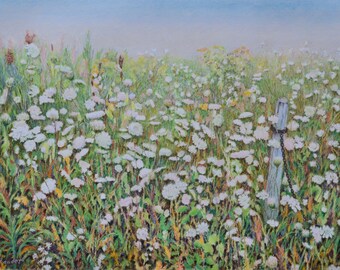 Oil Pastel Painting, Wild Flower Painting, Daisy Painting, Original Painting, Landscape Painting, Audet, "Annual Appointment", 18x24
