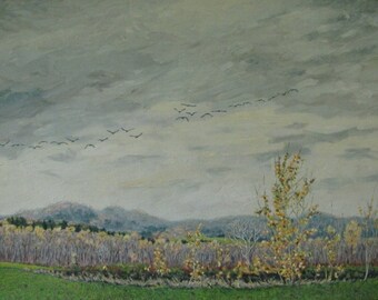 Large Painting, Oil Painting, Cloudscape Painting,  Geese Painting, Fall Painting, Landscape Painting, Audet, "Light Rhythms", 22x36