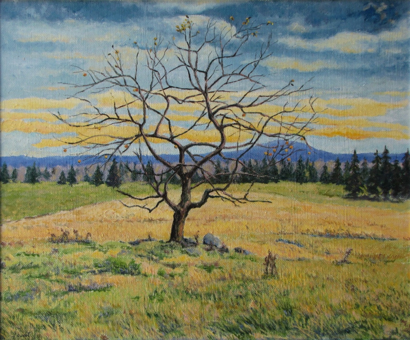 Original Painting, Oil Painting, Apple Tree Painting, Landscape