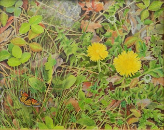 Original Painting, Oil Painting, Wild Flower Painting, Yellow Flower Painting, Butterfly Paining, Audet, "Viceroy and princess", 16x20
