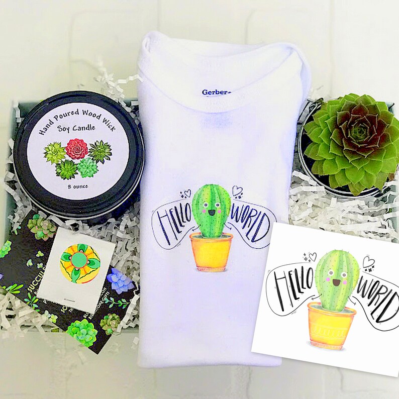 New Baby Gift Box, Congrats On Your New Baby, New Mama Succulent Gift Box, Congratulations Pregnancy Gift Set, Live Succulent Care Package image 1