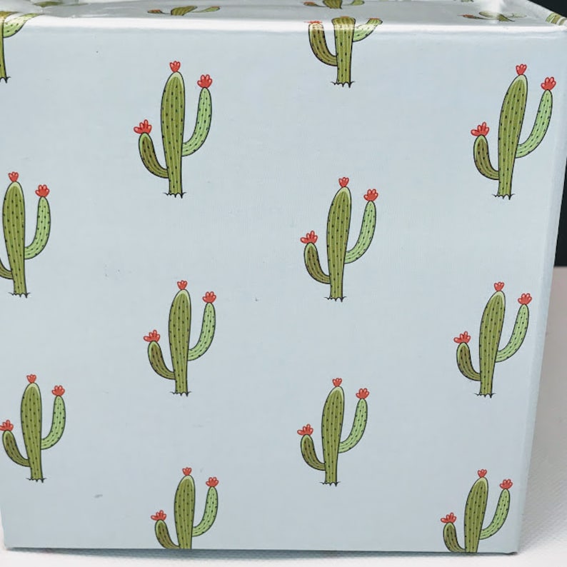 Thank you for helping me grow, Coworker Gift, Mentor gift, Appreciation Gift for coworkers, Thank you Gift ideas, Live Succulent Gift Box image 6