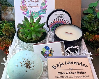 SYMPATHY Succulent Gift Box, Sympathy Gift Box, Sympathy Gift Basket, Sorry For Your Loss, Thinking Of You, Care Package