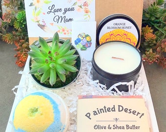 Mothers Day Gift Box, Succulent Gift box set, Send a Gift,  Customize Gift, Gift Box For Her, First Time Mom, Step Mom Gift, Happy Mothers