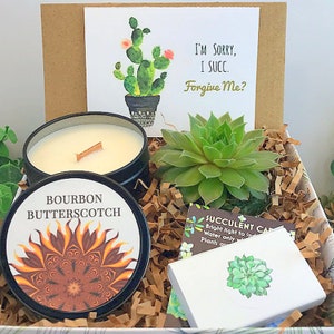 Apology Live Succulent & Candle, Sorry I Succ Gift , I&#39;m Sorry Small gift and Card, Apology Gift Girlfriend, Forgive Me Gift, Regrets gift