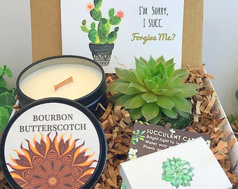 Apology Live Succulent & Candle, Sorry I Succ Gift , I'm Sorry Small gift and Card, Apology Gift Girlfriend, Forgive Me Gift, Regrets gift