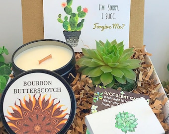 Apology Gift Etsy Apology Gift Etsy