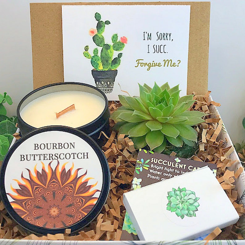 Apology Live Succulent & Candle, Sorry I Succ Gift , I'm Sorry Small gift and Card, Apology Gift Girlfriend, Forgive Me Gift, Regrets gift image 1