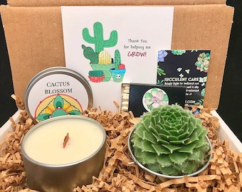 Thanks for helping me Grow, Teacher thank you box, send a gift, succulent with candle gift, Realtor Gift