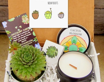 New Home Housewarming Gift, Moving New Apartment, Apt Real Estate Close, College Dorm, First Home ,Planting new roots, Succulent Candle box