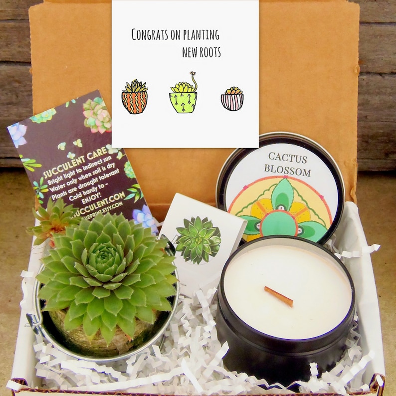 New Home Housewarming Gift, Moving New Apartment, Apt Real Estate Close, College Dorm, First Home ,Planting new roots, Succulent Candle box image 1