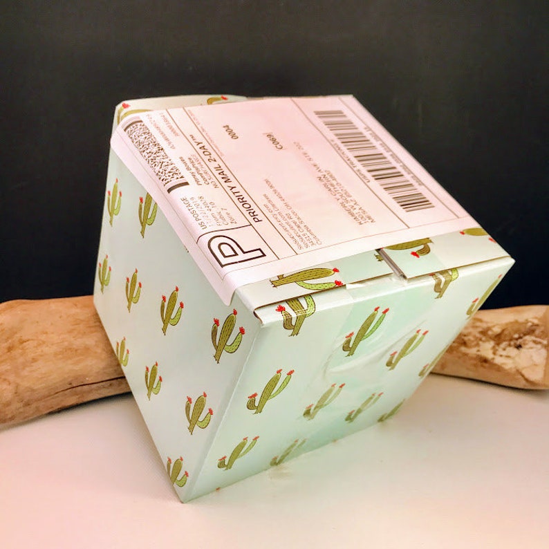 Apology Live Succulent Candle Gift Box, I'm Sorry I Succ Gift , I'm ...