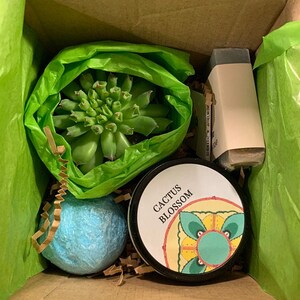 Get Well Gift Box Healing Vibes Succulent Gift Box Set, Send a Gift, Wood Wick Candle, Positive Vibes gift box, Hospital Gift for co-worker image 3