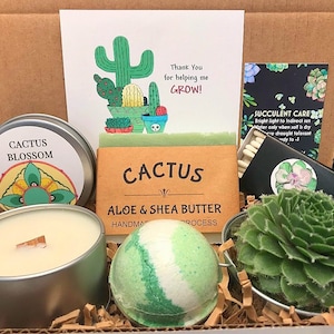 Thank you for helping me grow, Coworker Gift, Mentor gift, Appreciation Gift for coworkers, Thank you Gift ideas, Live Succulent Gift Box image 1