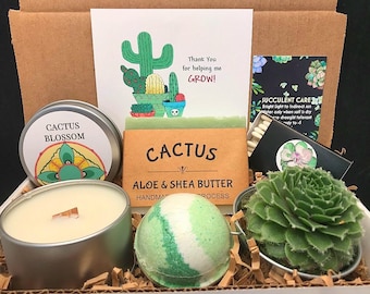 Thank you for helping me grow, Coworker Gift, Mentor gift, Appreciation Gift for coworkers, Thank you Gift ideas, Live Succulent Gift Box