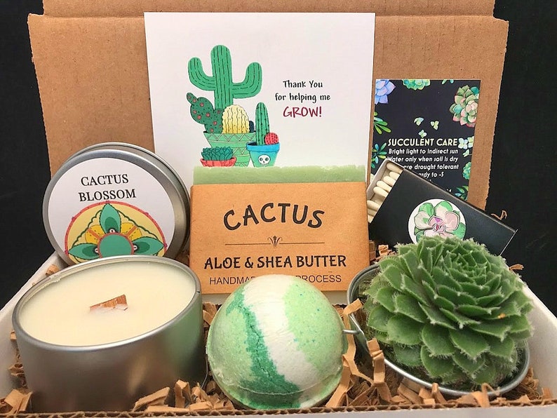 Thank you for helping me grow, Coworker Gift, Mentor gift, Appreciation Gift for coworkers, Thank you Gift ideas, Live Succulent Gift Box image 1