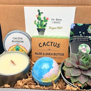 May include: A gift box filled with a variety of cactus-themed items, including a candle, bath bomb, soap, and a small potted succulent. The box also includes a card with the text "I'm Sorry, I SUCC. Forgive ME?" and a card with succulent care instructions.
