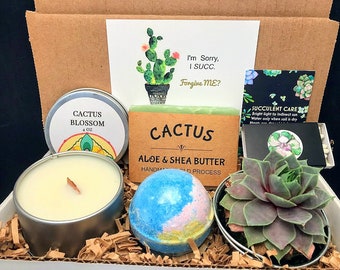 Apology Live Succulent Candle Gift Box, I'm Sorry I Succ Gift , I'm Sorry Small gift and  Card, Apology Gift Girlfriend, Forgive Me Gift