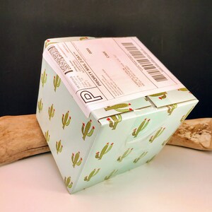 May include: A small, square box with a light blue background and a repeating pattern of green cacti with red flowers. The box has a white label with black text that says "PRIORITY MAIL 2-DAY" and a tracking number.