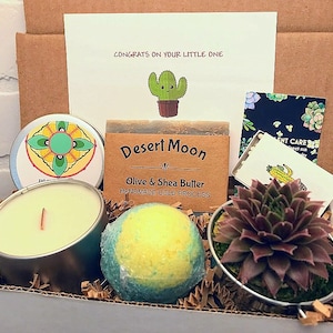 Mom Gift, Gift Box for Expectant Mom, Pregnancy Congratulations Succulent Gift Box Set, Congrats on New Baby, New Parents image 1