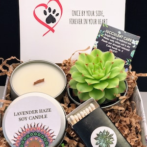 PET Sympathy Gift, Dog Loss, CAT Loss Gift, Pet Loss Gift, Care Package, Pet Loss, Care Package Gift., Candle and Succulent Gift image 7