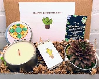 New Mom Gift, Gift Box for Expectant Mom, Pregnancy Congratulations Succulent Gift Box Set, Congrats on New Baby, New Parents