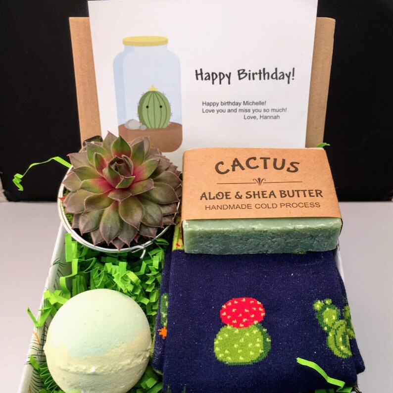 best gifts for succulent lovers