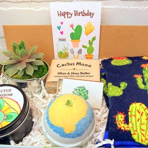 Succulent Socks gift box, Succulent lover gift , Sister gift box, Thank you Gift Box, Plant lover gift box, Happy Birthday does not succ image 1