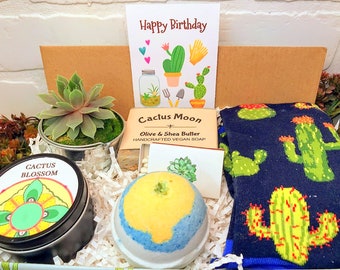 Succulent Socks gift box, Succulent lover gift , Sister gift box, Thank you Gift Box, Plant lover gift box, Happy Birthday does not succ